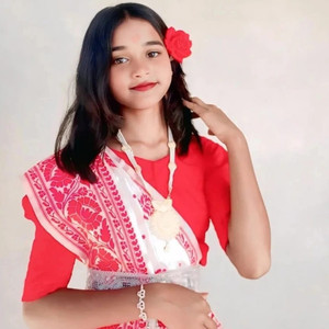 Alipurkar chori