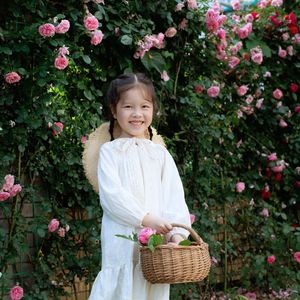 风吹麦浪-夏可儿/八音盒艺术