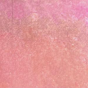 “7#@G4&%H6$2!8?>(9K+x3<)~.,/?’0*$%,o,,”