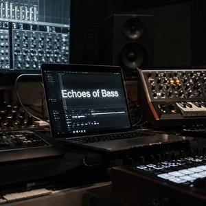 Echoes of Bass
