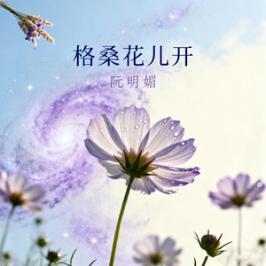 格桑花儿开