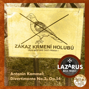 Divertimento No. 3, Op. 14: I. Allegro