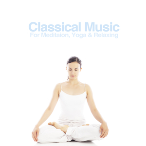 Concerto No. 3 in F Major, Op. 8:II Adagio molto "L'autunno" (Autumn)