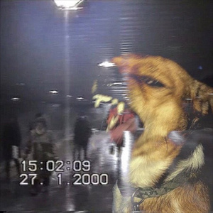 shine wMC Irwin (prod. by sid white)