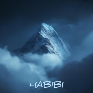 Habibi