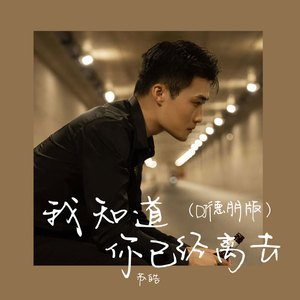 我知道你已经离去 (DJ德朋版)