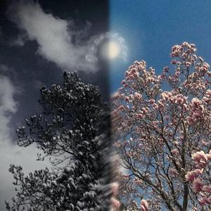 Denouement (feat. Eden’s Song)