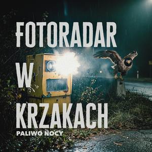 Fotoradar w krzakach