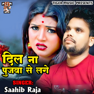 Dil Na Pujwa Se Lage