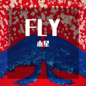 FLY