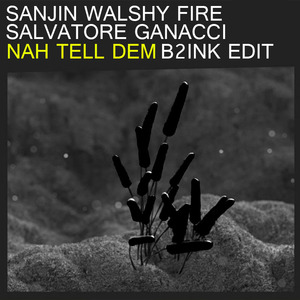 Nah Tell Dem (B2INK Edit)