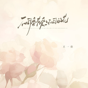 不同的季节爱上不同的花