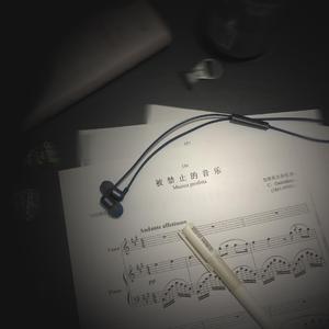 奥博-晚安。（程页 remix）