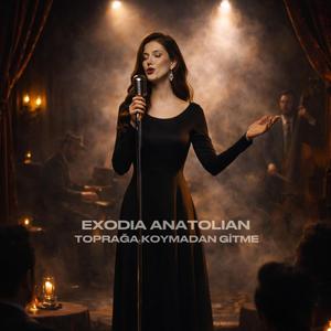 Toprağa Koymadan Gitme