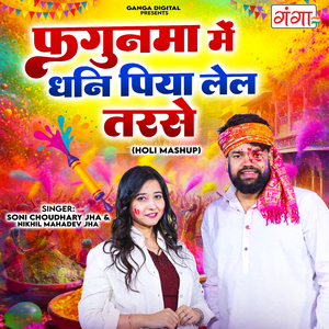 Fagunama Mein Dhani Piya Lel Tarase (Holi Mashup)