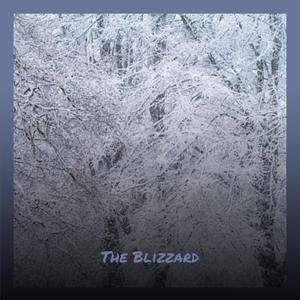 The Blizzard