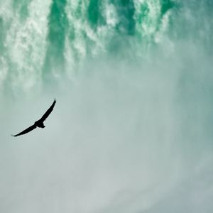 《爵士琴音里的咖啡屋谧境》