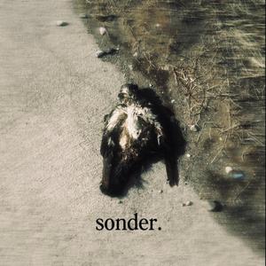 sonder.