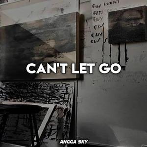 Can't Let Go (Remix)