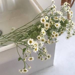 《小春日和》