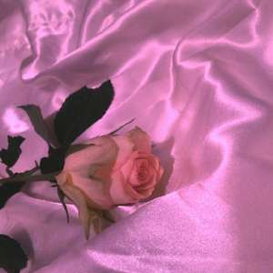 在 甜 蜜 的 夢 中 沉 浮