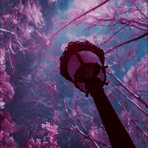 Carrying You (from 'Castle in the Sky')