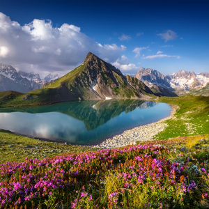 Flujo Suave De Melodía