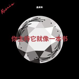 你主持它就像一本书 (Cai Zhengsheng Remix)
