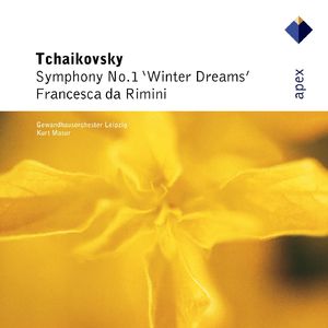Symphony No. 1, Op. 13 "Winter Daydreams":I. Daydreams on a Winter Journey. Allegro tranquillo