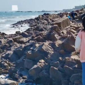 野狼disco&The Next Episode&goodboy&壁虎漫步