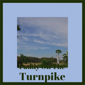 Paddy On The Turnpike