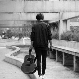 刘如-云路桥（大白鹅组合 remix）