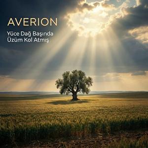 Yüce Dağ Başında Üzüm Kol Atmış