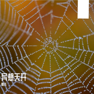 你是我一生的风景