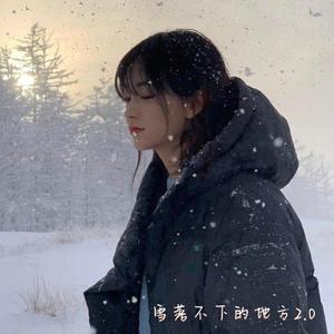 雪落不下的地方 2.0