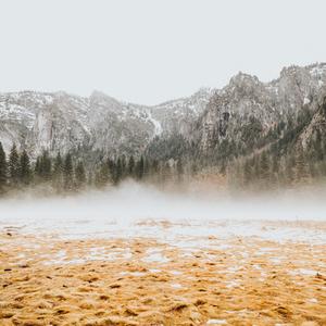 王嘉懿（菜刀）-拥有你remix（王嘉懿（菜刀） / 鬼羊Ghost sheep / 浦东老农民 remix）