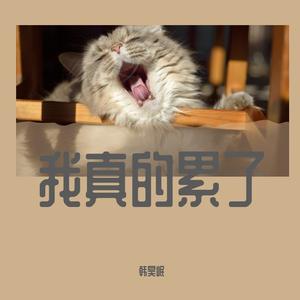 我真的累了 伴奏