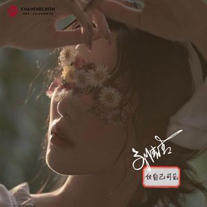 仅自己可见 (伴奏)