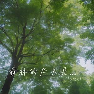 森林的尽头是阳光
