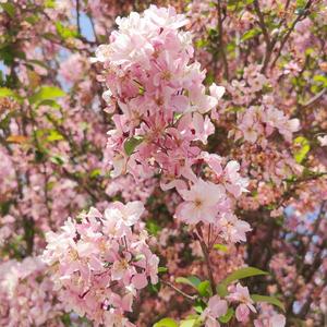 我不是你的宋冬野