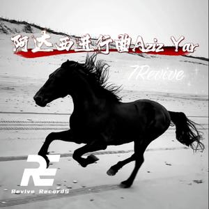 阿达西进行曲  Aziz Yar