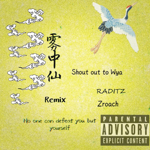 Wya乌鸦-雾中仙（Remix）（僵螂Zroach / 2RED_Raditz remix）