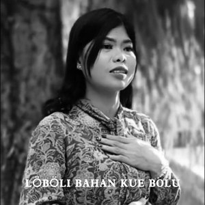 LÖBÖLI BAHAN KUE BOLU