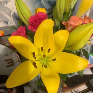 Driving through the night