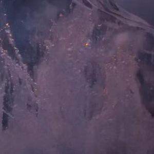 春风不见桃花雨