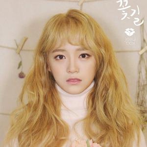 꽃길（花路）（翻自 金世正）