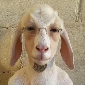 That One Song No Intro