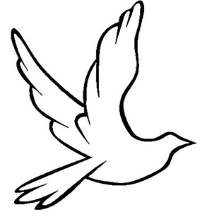 白鸽（埙）（Cover 伍佰）