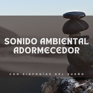 Sonidos De Noche Estrellada