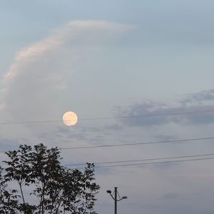 棠梨煎雪 - 冻梨